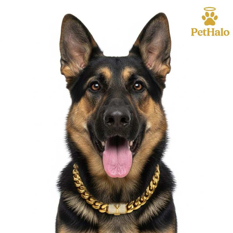 18K Gold Plated Dog Cuban Chain Collar – Custom Initial A–Z Letter Pendant, Heavy Duty Stainless Steel Dog Necklace, Luxury Pet Accessories for All Dog Sizes16/18/20/22/24/26Inch Pet Necklace