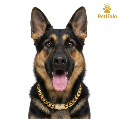 18K Gold Plated Dog Cuban Chain Collar – Custom Initial A–Z Letter Pendant, Heavy Duty Stainless Steel Dog Necklace, Luxury Pet Accessories for All Dog Sizes16/18/20/22/24/26Inch Pet Necklace