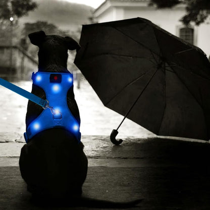 LED Dog Harness, Lighted up USB Rechargeable Pet Harness, Illuminated Reflective Glowing Dog Vest Adjustable Soft Padded No-Pull Suit for Small, Medium, Large Dogs (Blue, S)