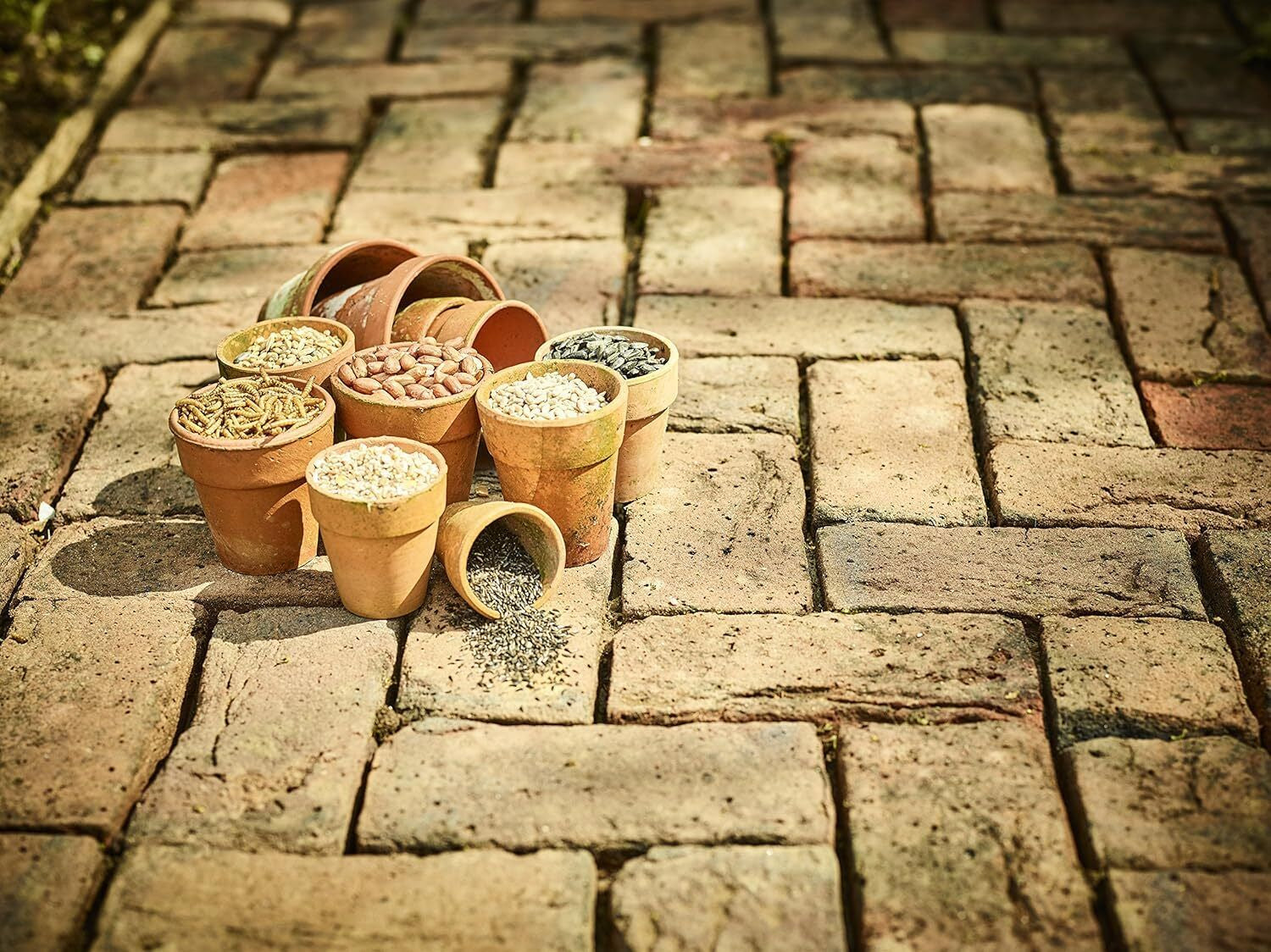 Gardman No Mess Seed Mix High Quality Wild Bird Food Feeding No Waste Garden