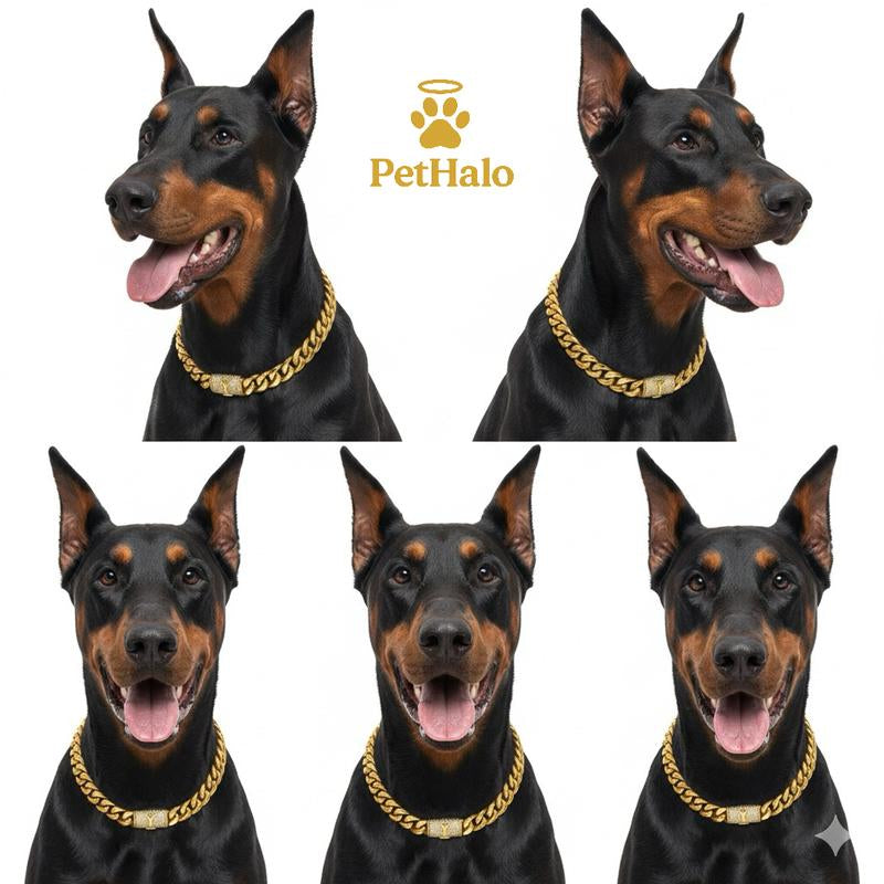 18K Gold Plated Dog Cuban Chain Collar – Custom Initial A–Z Letter Pendant, Heavy Duty Stainless Steel Dog Necklace, Luxury Pet Accessories for All Dog Sizes16/18/20/22/24/26Inch Pet Necklace