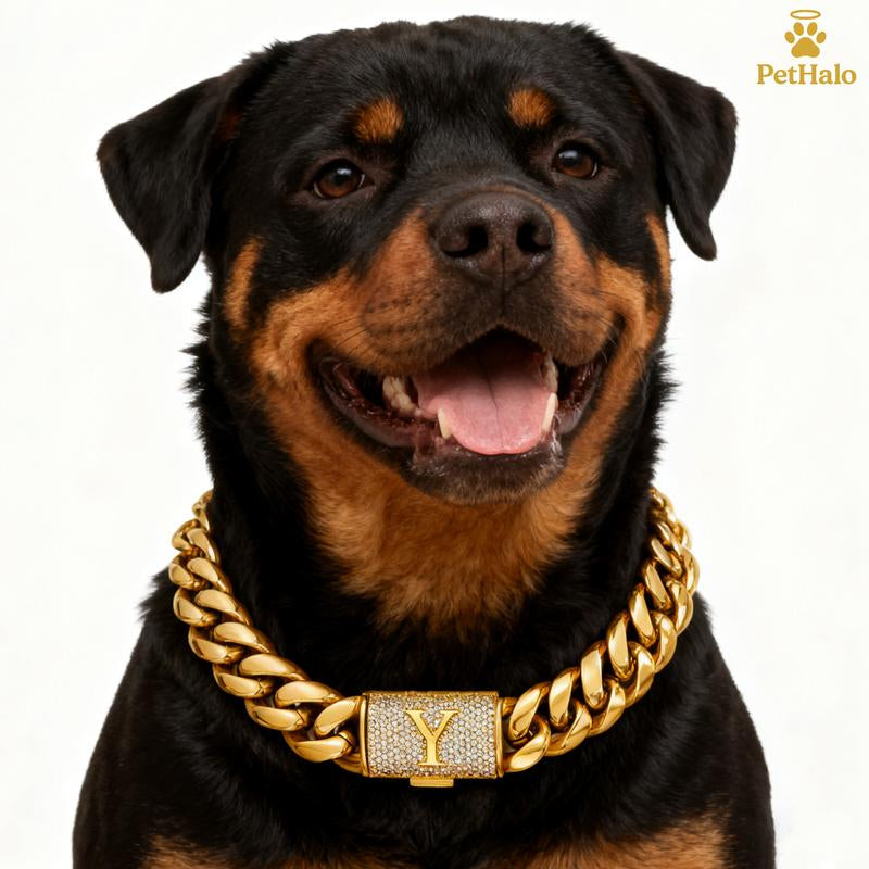 18K Gold Plated Dog Cuban Chain Collar – Custom Initial A–Z Letter Pendant, Heavy Duty Stainless Steel Dog Necklace, Luxury Pet Accessories for All Dog Sizes16/18/20/22/24/26Inch Pet Necklace