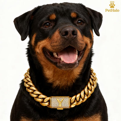 18K Gold Plated Dog Cuban Chain Collar – Custom Initial A–Z Letter Pendant, Heavy Duty Stainless Steel Dog Necklace, Luxury Pet Accessories for All Dog Sizes16/18/20/22/24/26Inch Pet Necklace