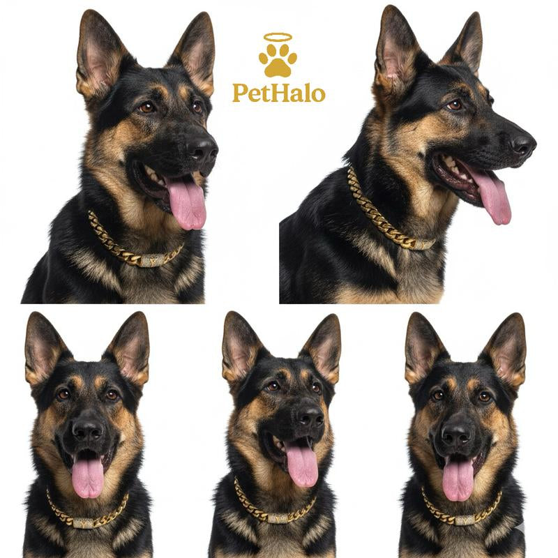 18K Gold Plated Dog Cuban Chain Collar – Custom Initial A–Z Letter Pendant, Heavy Duty Stainless Steel Dog Necklace, Luxury Pet Accessories for All Dog Sizes16/18/20/22/24/26Inch Pet Necklace