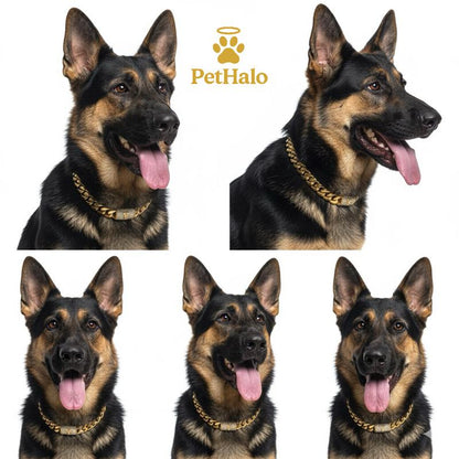 18K Gold Plated Dog Cuban Chain Collar – Custom Initial A–Z Letter Pendant, Heavy Duty Stainless Steel Dog Necklace, Luxury Pet Accessories for All Dog Sizes16/18/20/22/24/26Inch Pet Necklace