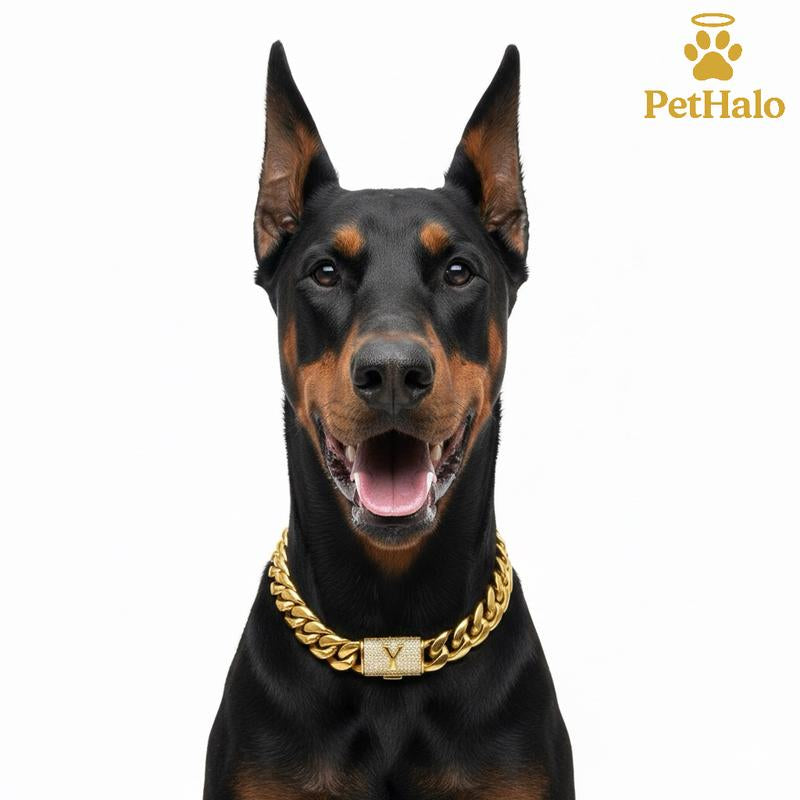 18K Gold Plated Dog Cuban Chain Collar – Custom Initial A–Z Letter Pendant, Heavy Duty Stainless Steel Dog Necklace, Luxury Pet Accessories for All Dog Sizes16/18/20/22/24/26Inch Pet Necklace