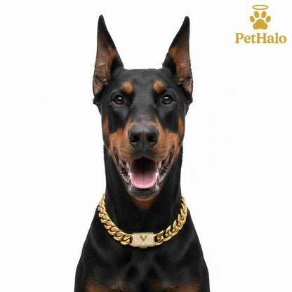18K Gold Plated Dog Cuban Chain Collar – Custom Initial A–Z Letter Pendant, Heavy Duty Stainless Steel Dog Necklace, Luxury Pet Accessories for All Dog Sizes16/18/20/22/24/26Inch Pet Necklace