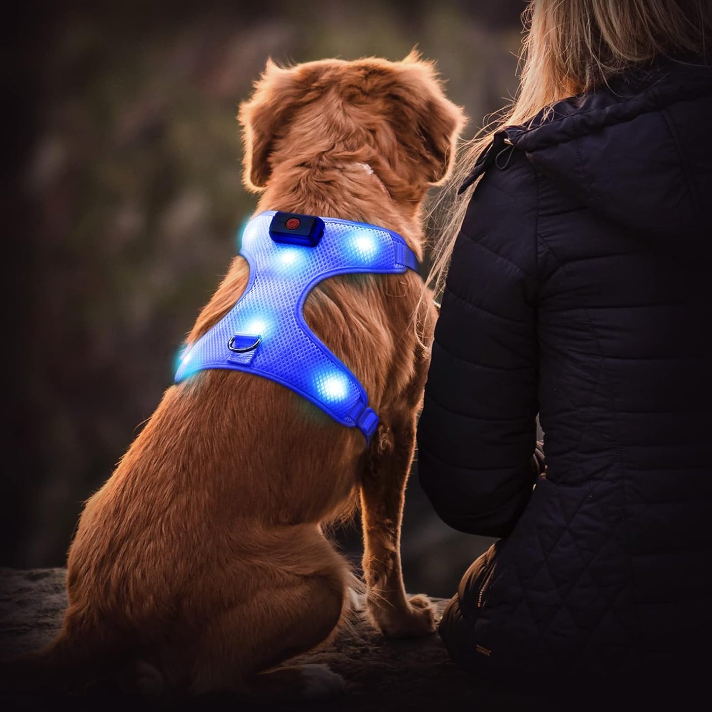 LED Dog Harness, Lighted up USB Rechargeable Pet Harness, Illuminated Reflective Glowing Dog Vest Adjustable Soft Padded No-Pull Suit for Small, Medium, Large Dogs (Blue, S)