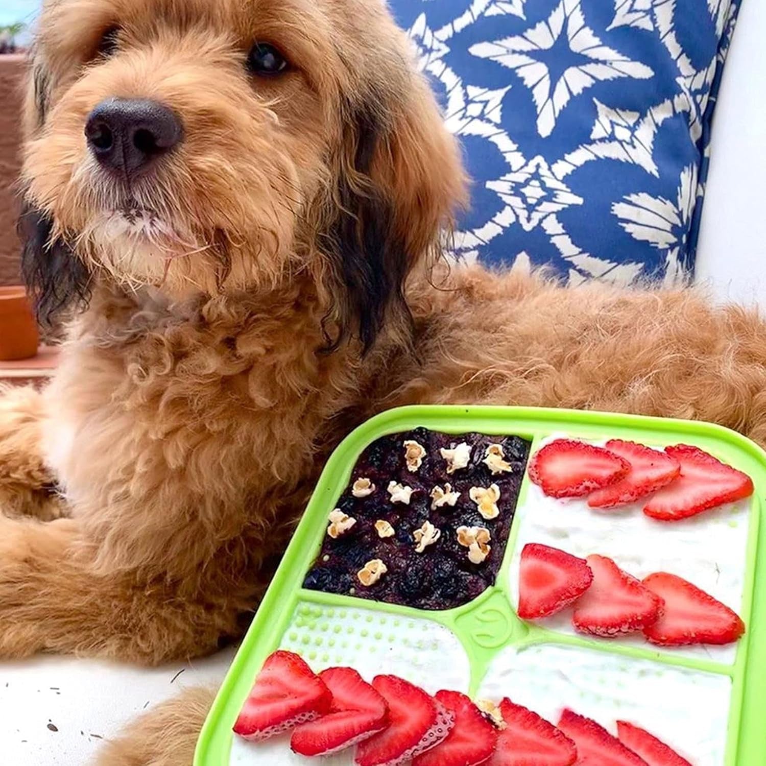 IQ Treat Lick Mat for Dogs, Dog Slow Feeder & Cat Lick Mats | Great Alternative to Slow Feeder Bowls & Cat Feeders | Perfect Dog Licking Mat, Cats Puzzle & Enrichment Toys